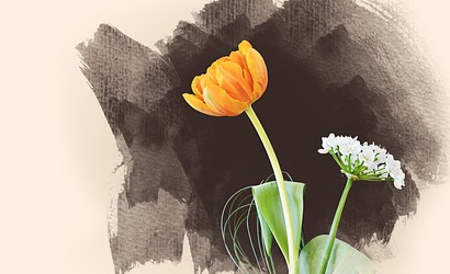 flower-1342098_640